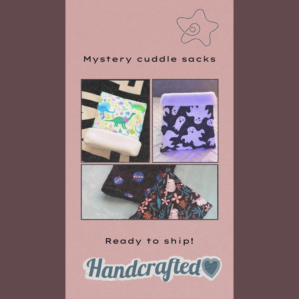 Pet guinea pig hedgehog mystery cuddle sack